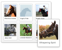 Detailed Horse Profiles