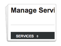 Manage Services Rendered