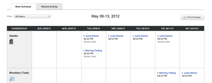 Dashboard Work Schedule