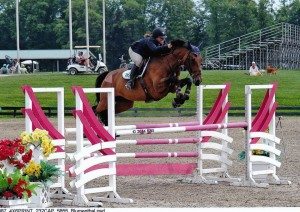 horse and rider going over a jump