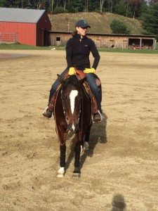 rider on a horse in western tack