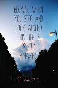quote saying life is amazing