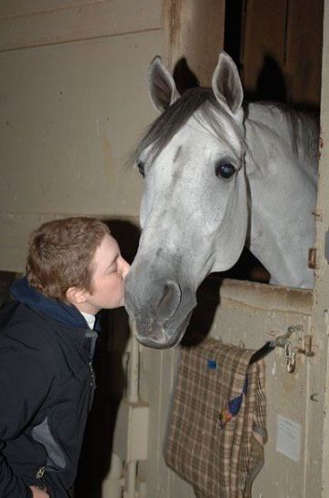 person kissing a horse on the nose