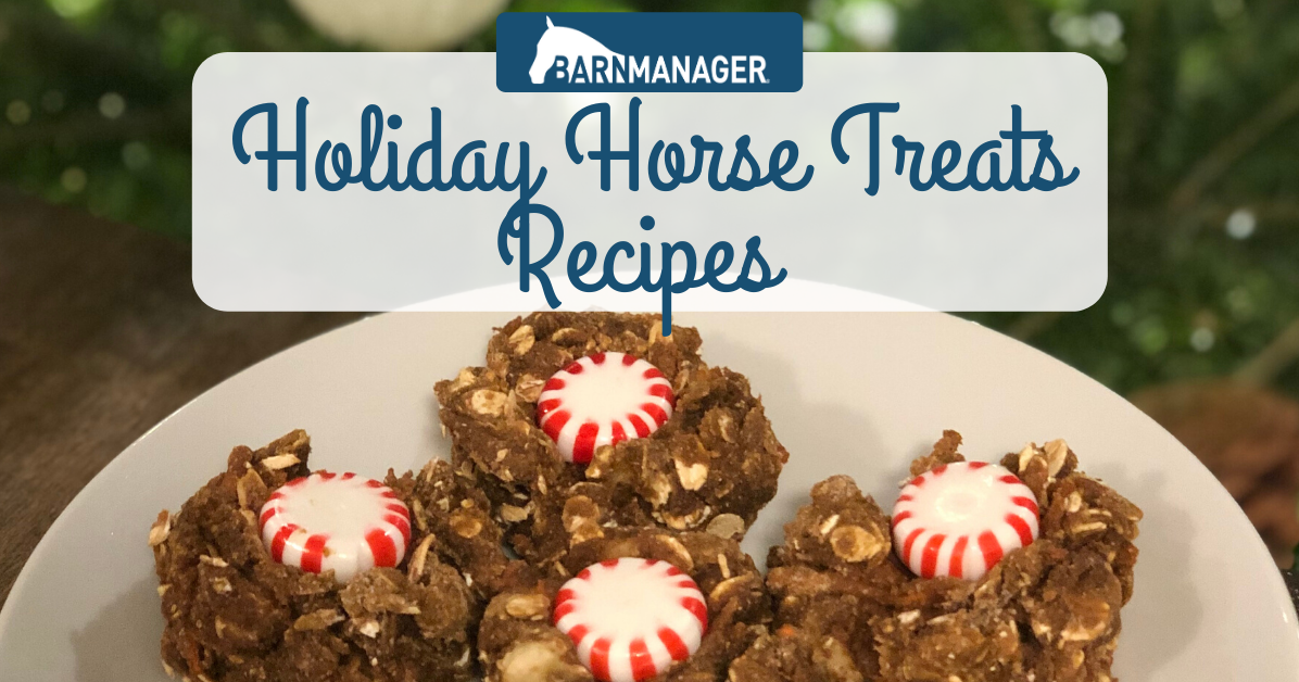 Barn Manager Holiday Horse Treat Recipes