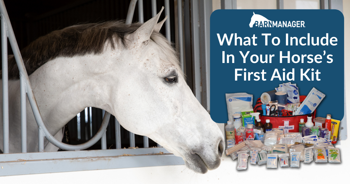 Barn Manager What To Include In Your Horse’s First Aid Kit