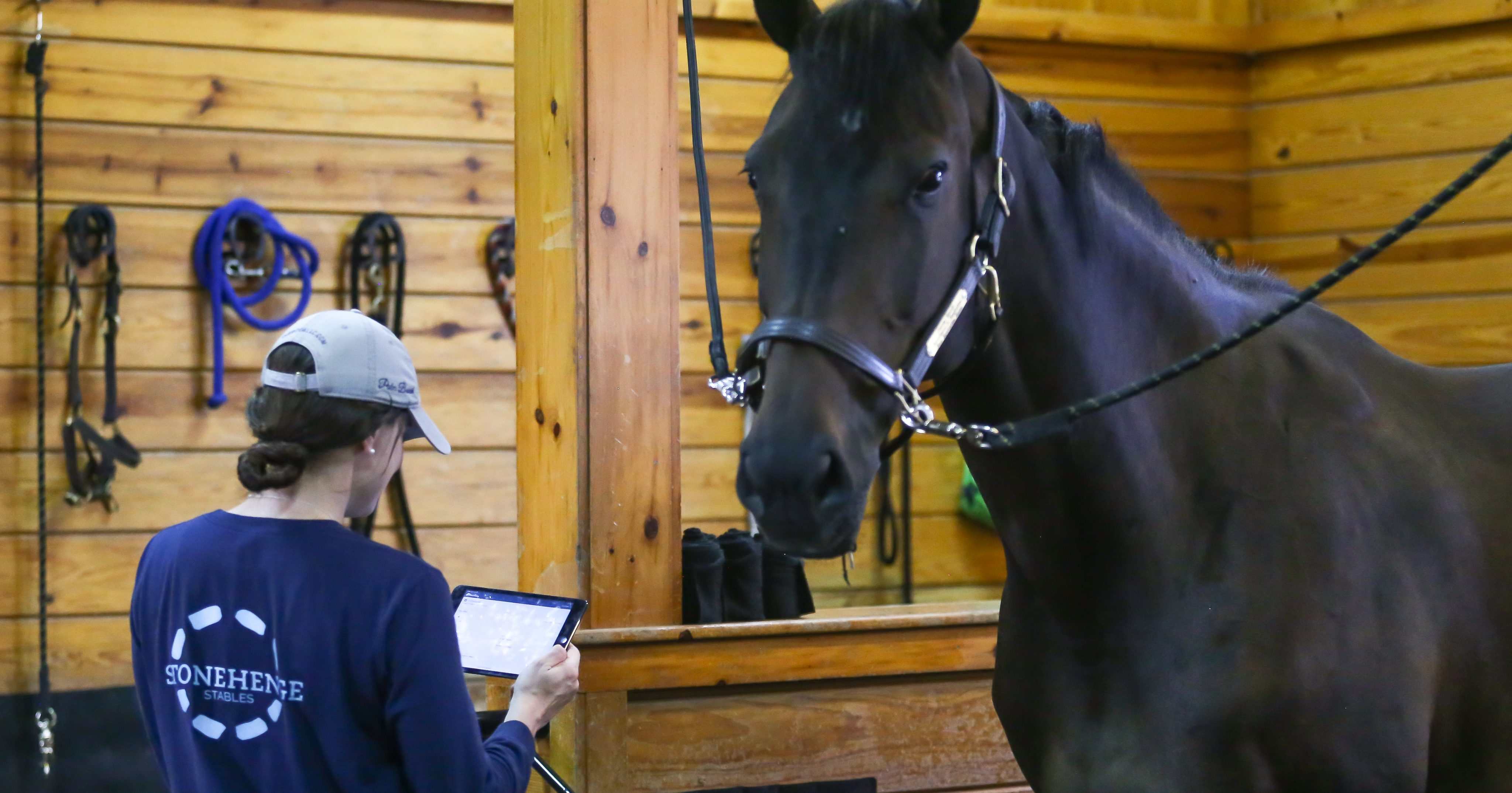 Barn Manager Five Ways You Could Benefit from BarnManager and US