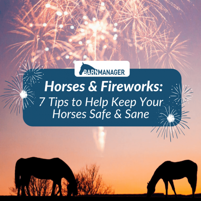 Horses & Fireworks 7 Tips to Help Keep Your Horses Safe & Sane