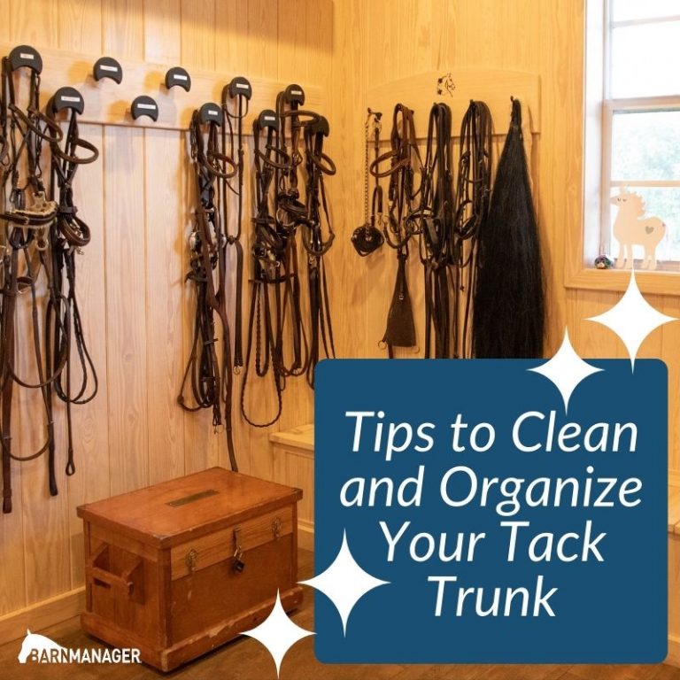 6 Tips to Organize Your Tack Trunk BarnManager
