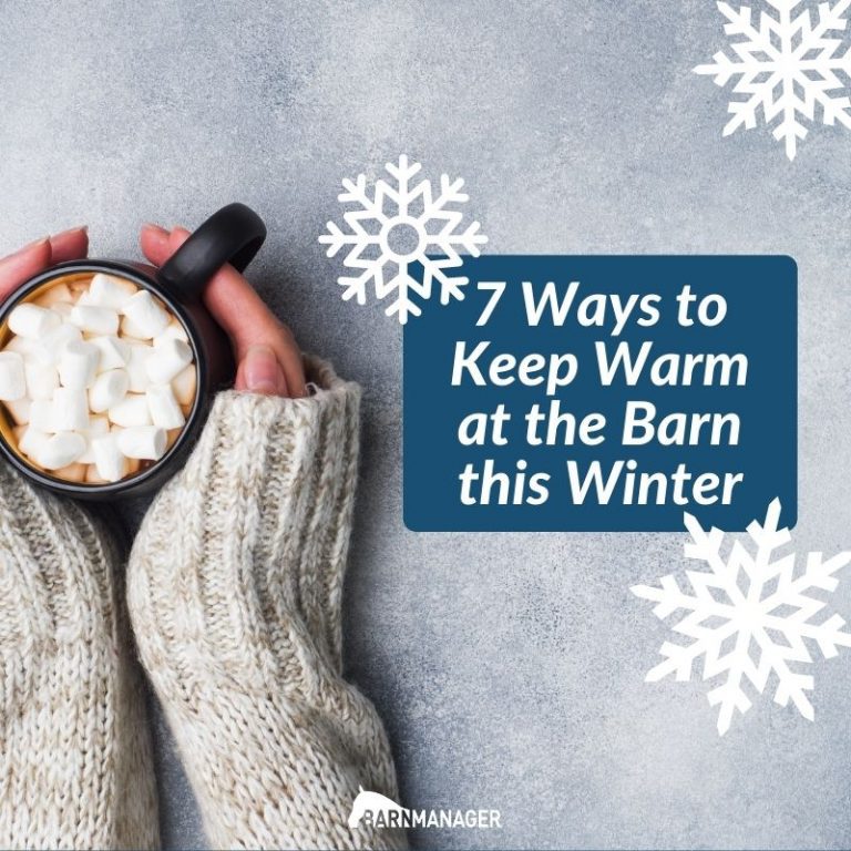 7 Ways to Keep Warm at the Barn This Winter BarnManager