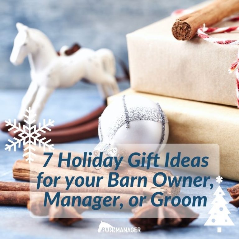 7 Gift Ideas for Your Barn Owner, Manager, or Groom BarnManager
