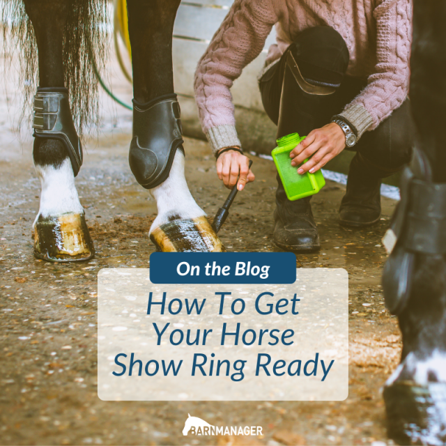 How To Get Your Horse Show Ring Ready BarnManager